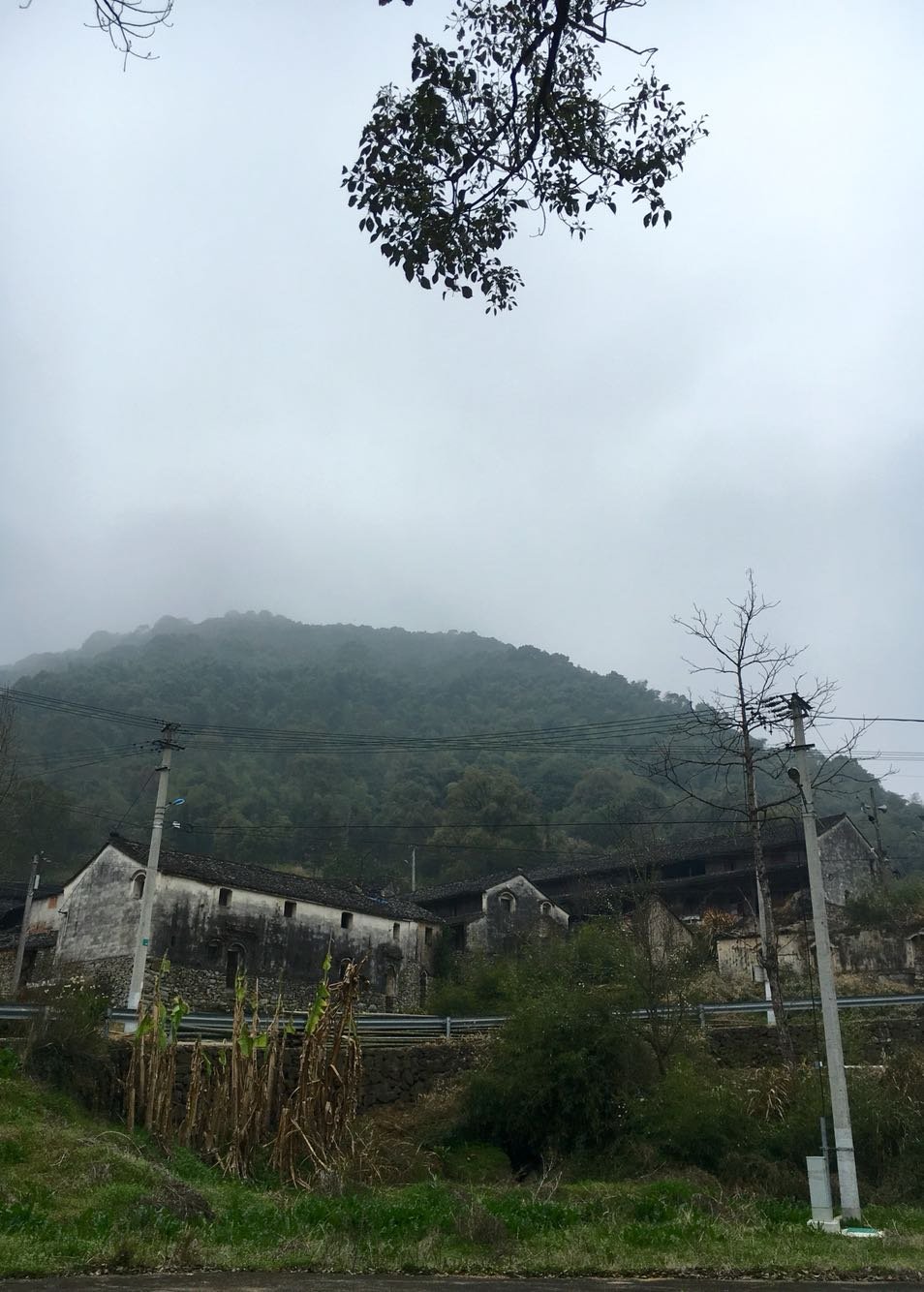 高崇山镇天气预报更新通知