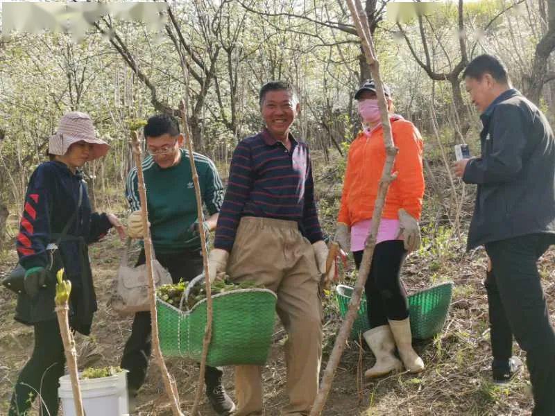 二棚甸子镇最新项目，地区发展强大引擎引领前行